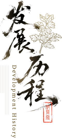 发展历程 Development History