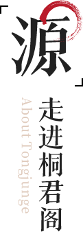 走进桐君阁