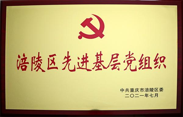 桐君阁药厂党委获得涪陵区国资委颁发的“先进基层党组织”荣誉